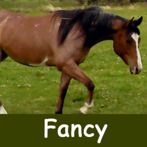 fancyimages