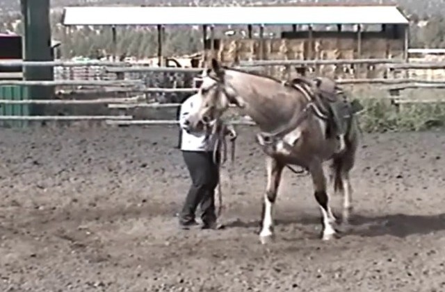 Lessons with Larry – Day 10 Lessons with Larry – Day 10