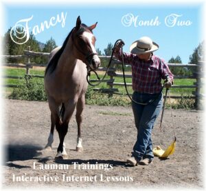 Fancy Month 2 - DVD Set