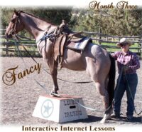 Fancy Month 3 - DVD Set