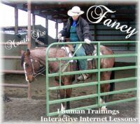 Fancy Month 6 - DVD Set
