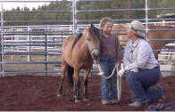 Josie & Trixie – Month 1 Day 1