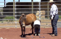 Josie & Trixie – Month 1 Day 2