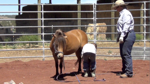 Josie & Trixie – Month 1 Day 2