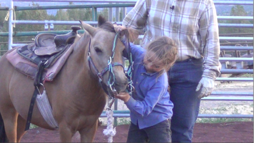 Josie & Trixie – Month 1 Day 4