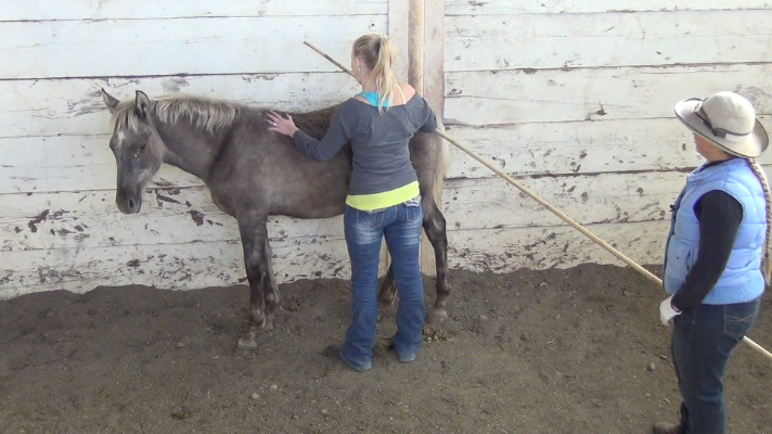 Taylor & her Foal – Daily Lesson #2