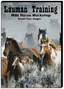 Wild Horse Workshop