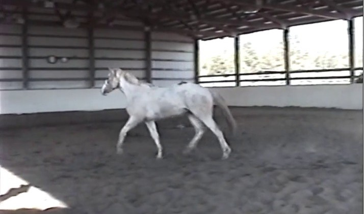 Wild One – Buckshot – Day 18 Wild One – Buckshot – Day 18
