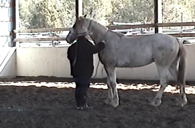 Wild One – Buckshot – Day 23 Wild One – Buckshot – Day 23