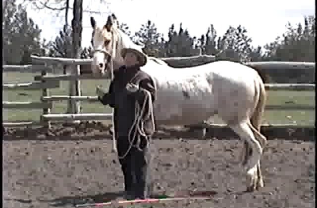 Wild One – Buckshot – Day 26 Wild One – Buckshot – Day 26