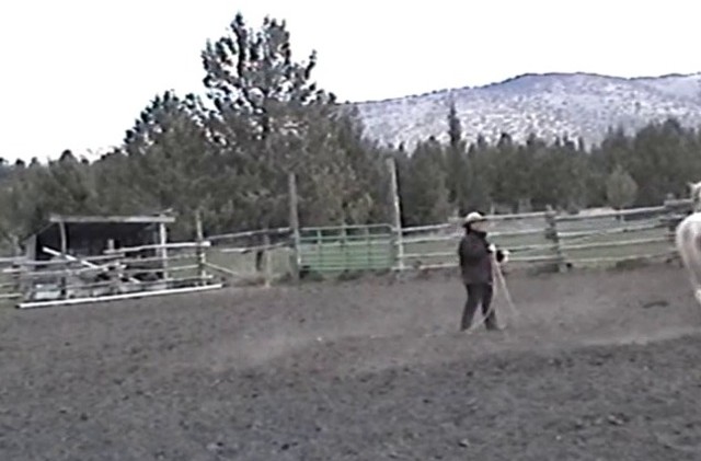 Wild One – Buckshot – Day 27 Wild One – Buckshot – Day 27