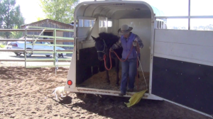 Horse Trailer Loading