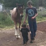 littlest with foal