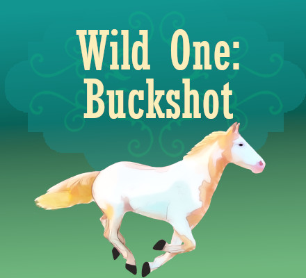 Wild One Buckshot