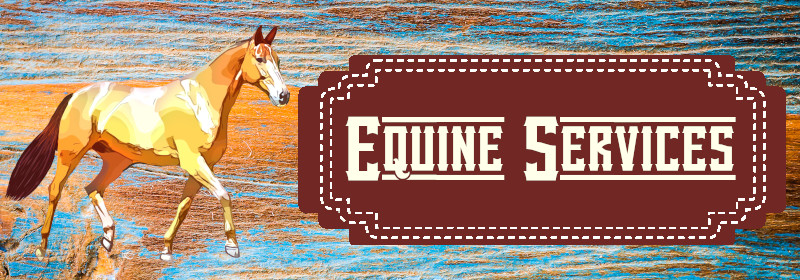 Banner Equine Services