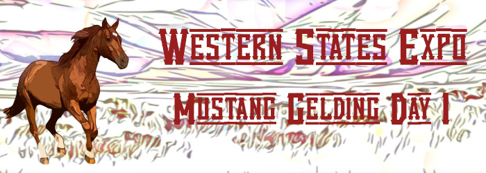 Western States Expo Mustang Gelding Day 1
