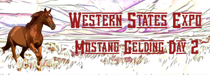 Western States Expo Mustang Gelding Day 2