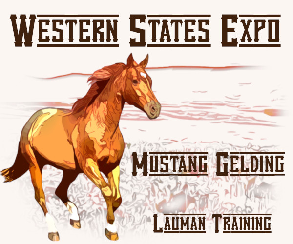 Western States Expo Mustang Gelding