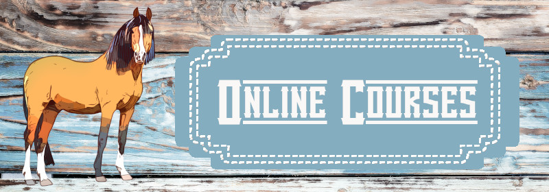 Banner for Online Courses