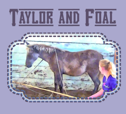 Taylor and her Foal Quixote
