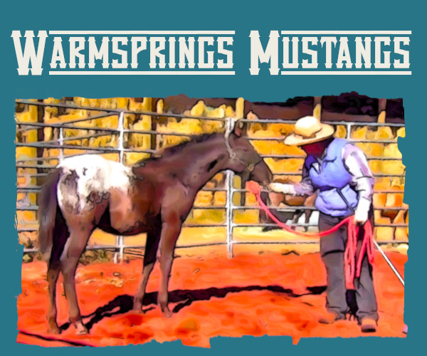 Warmsprings Mustangs