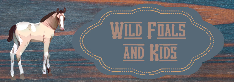 Banner for Wild Foals and Kids