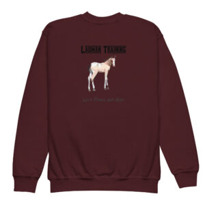 Wild Foals and Kids Youth crewneck sweatshirt - Image 2