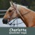 Group logo of Charlotte Interactive Lessons